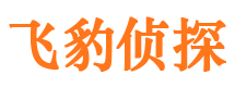 石河子市私家侦探